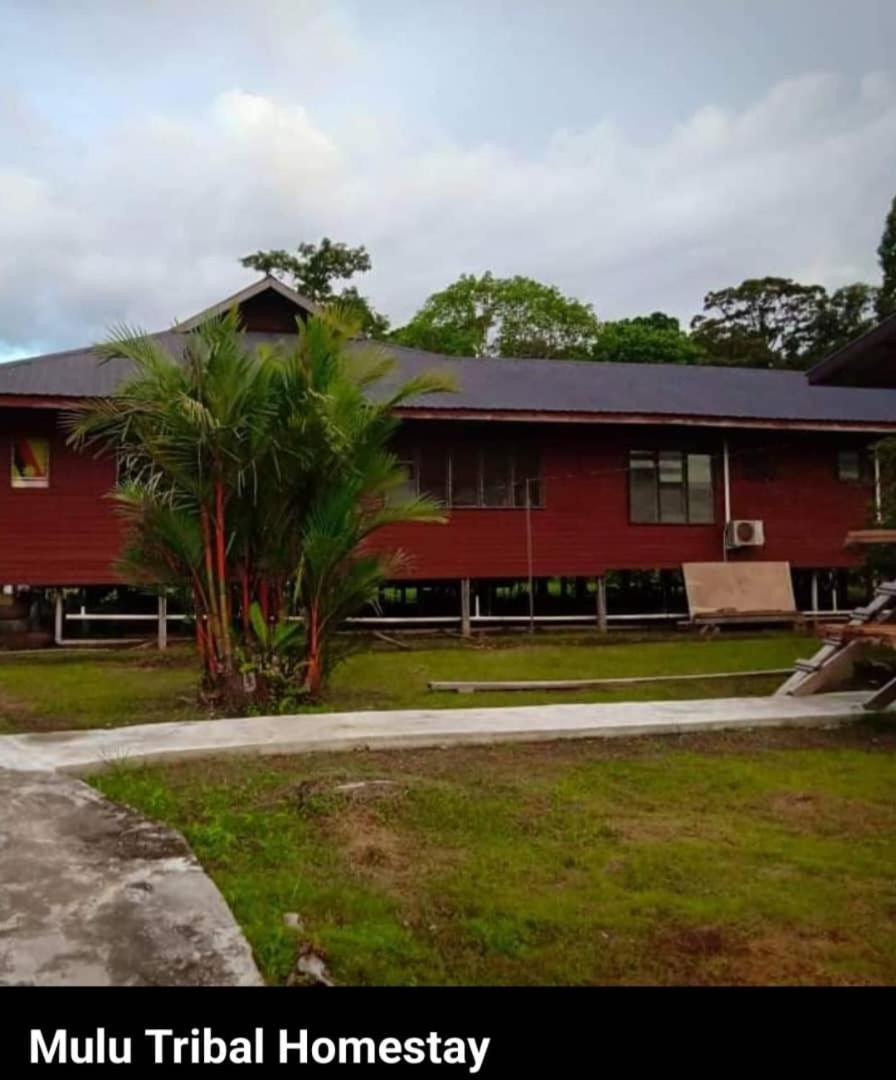 Mulu Tribal Homestay Exterior photo
