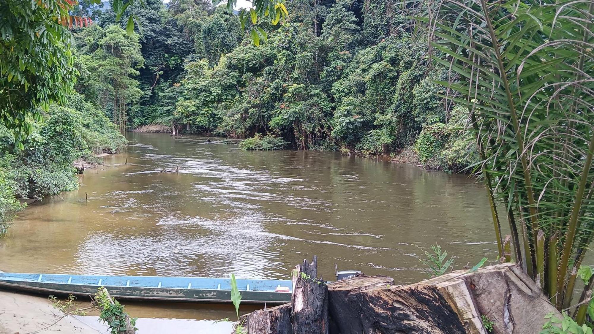 Mulu Tribal Homestay Exterior photo